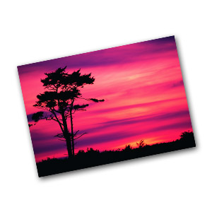 In store photo printing